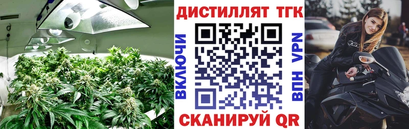 закладки Кореновск Дистиллят ТГК концентрат