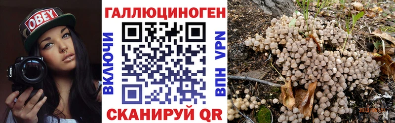 Псилоцибиновые грибы Magic Shrooms  Кореновск 